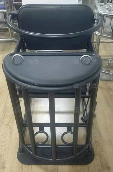 鐵質審訊椅